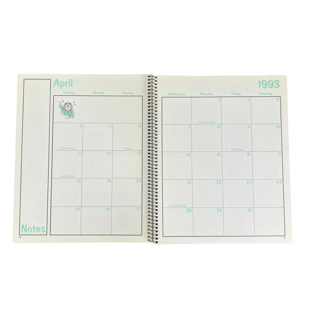 90's CATHY ORGANIZATION 1993 Planner‎ *UNUSED* Book Calendar Guisewite